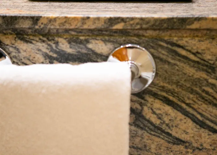 酒店 德城奥维多酒店