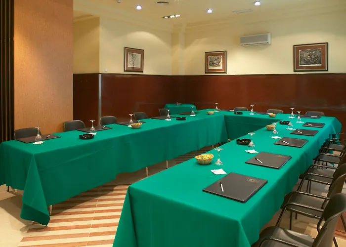 Hotel Sercotel Ciudad De 4*